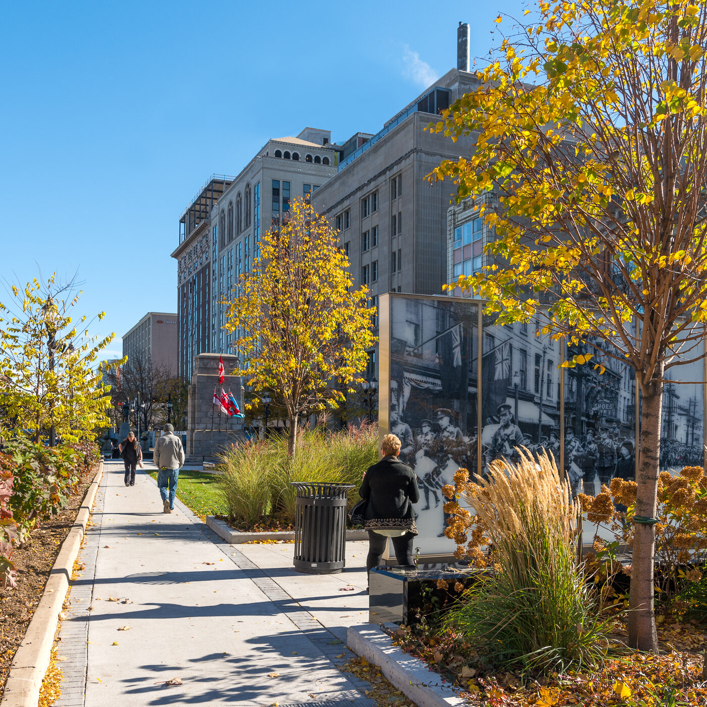 A path behind modern apartments with manicured shrubs and tree beds