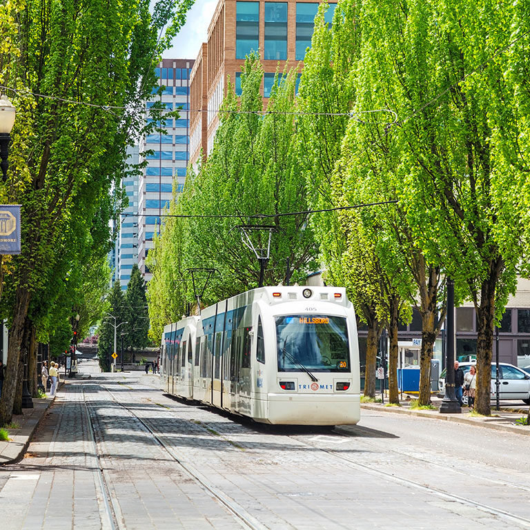 LRT coming down the road inbetween rows of trees